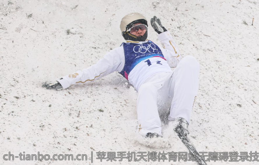 苹果手机天博体育网站无障碍登录技巧