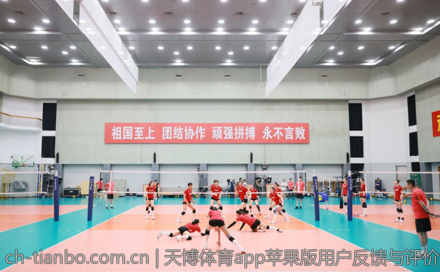 天博体育app苹果版用户反馈与评价汇总
